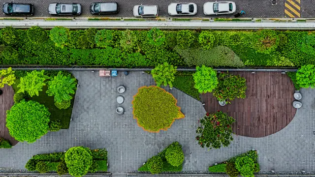 solitary_vegetation_object